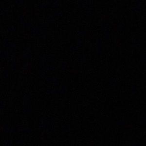 Meet your Posher, Bree